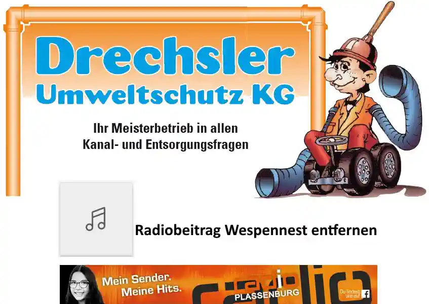 Radiointerview mit Michael Drechsler zum Thema Wespennester richtig entfernen! Radiointerview mit Michael Drechsler zum Thema Wespennester richtig entfernen!